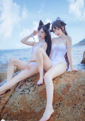 战地狮吼电视剧全集在线观看