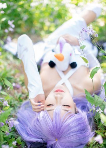 枫与铃樱花动漫