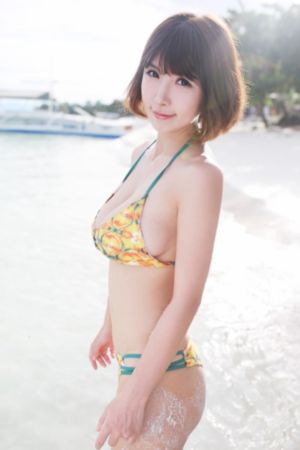 金真情迷