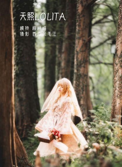 穆桂英挂帅